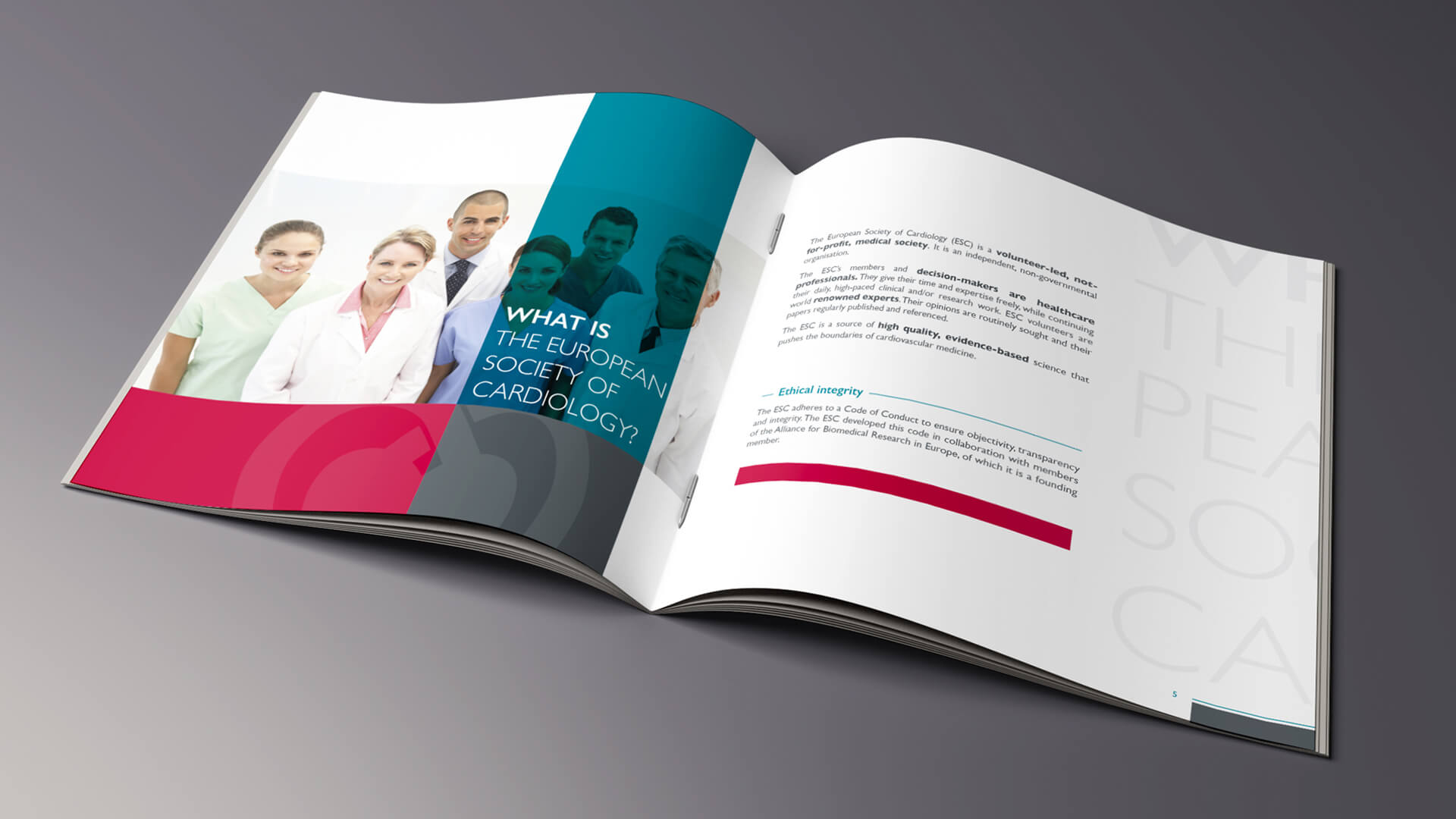 my-and-graphiste-freelance-marseille-agence-communication-sante-brochure-corporate-2