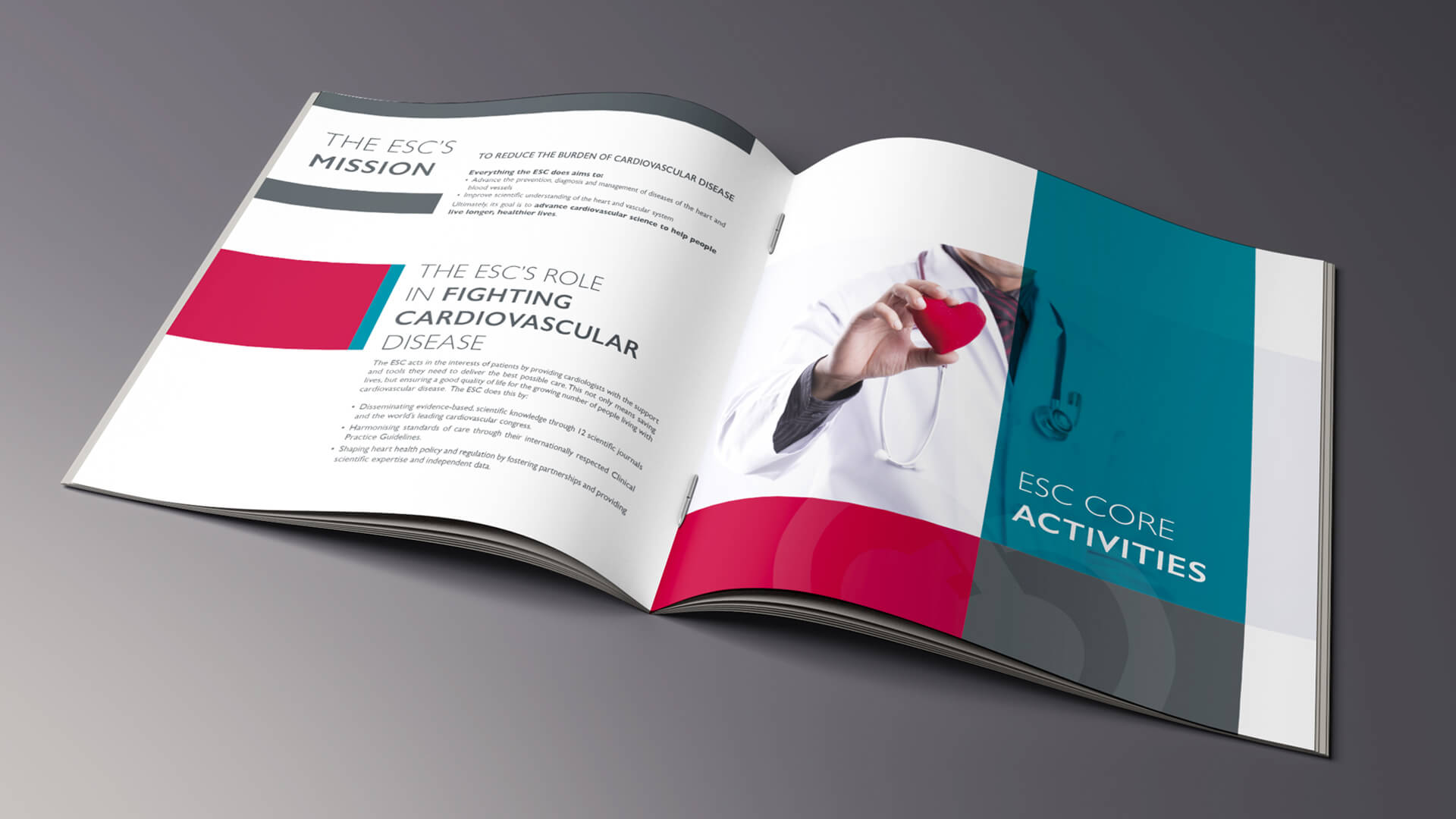 my-and-graphiste-freelance-marseille-agence-communication-sante-brochure-corporate-4